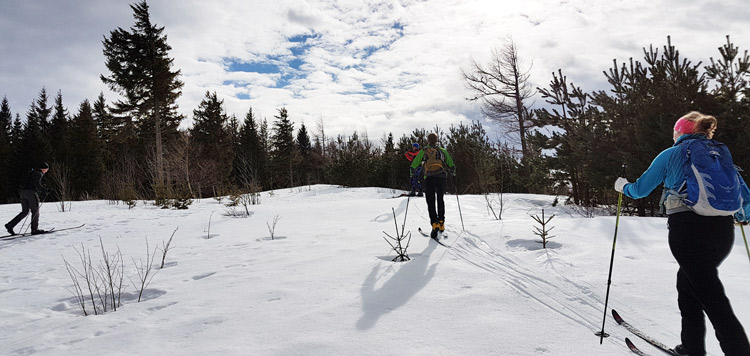 langlaufen backcountry cursus schwarzwald