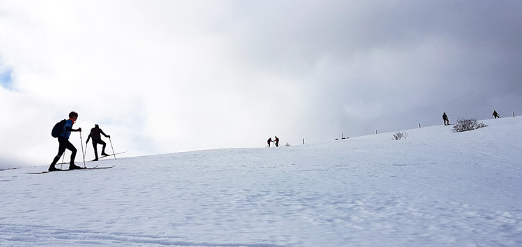 langlaufen backcountry cursus schwarzwald