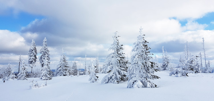 ​​​​​​langlaufen backcountry reis tsjechie