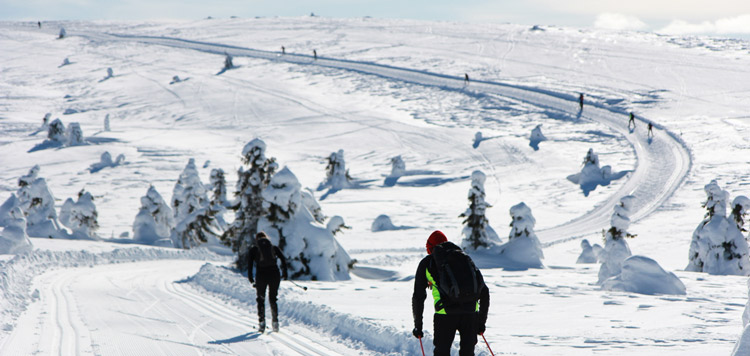 langlaufen birkebeiner reis