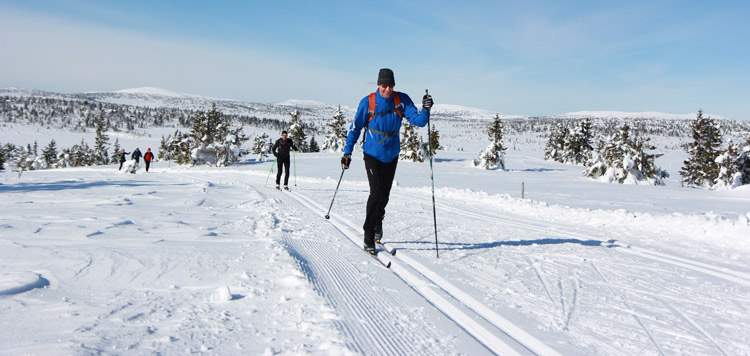 langlaufen birkebeiner reis