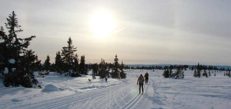 langlaufen birkebeiner reis