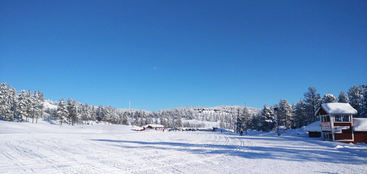 langlaufen vasaloppet reis