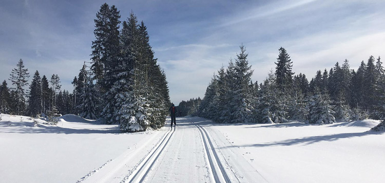 Langlaufvakantie Tsjechie