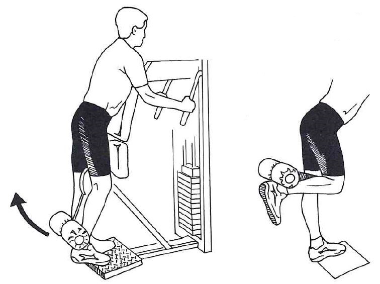 krachttraining fietsers leg curl