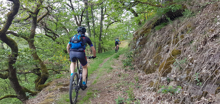 mountainbiken-luxemburg-routes-mtb-weekend-reis