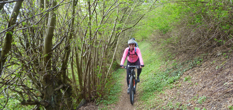 mountainbiken ardennen weekend reis