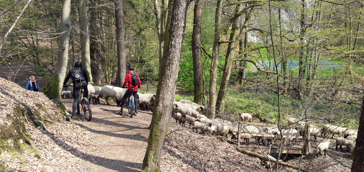 mtb racefiets weekend duitsland bergisches land