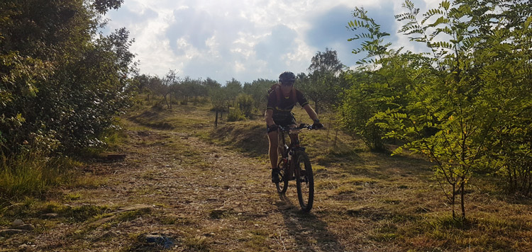 mtb reis Adriatische zee slovenie transalp