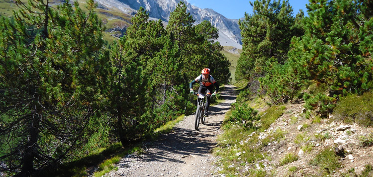 mtb reis livigno clinis transalp