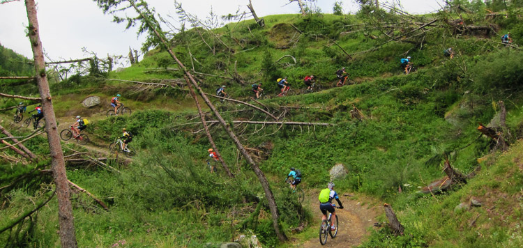 mtb reis matterhorn mont blanc transalp