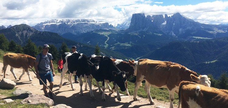 ​​​​mtb tocht dolomieten reis vakantie