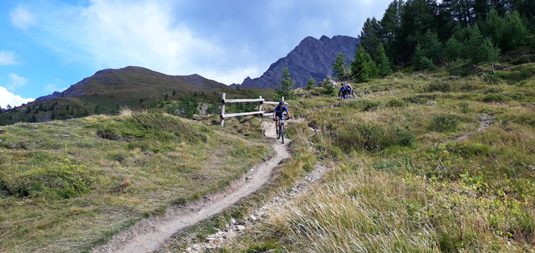 mtb reis matterhorn mont blanc transalp