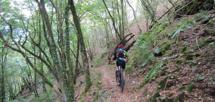 MTB routes luxemburg weekend reis