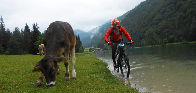 mtb transalp grossglockner reis