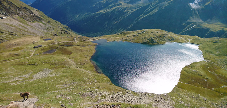 mtb-transalp-klassieker-route-albrecht