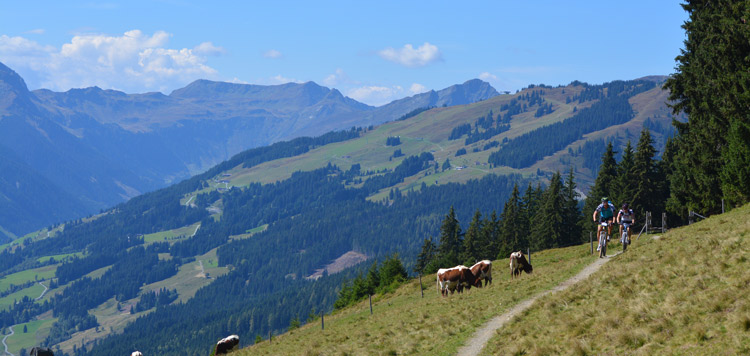 mtb transalp reis grossglockner oostenrijk