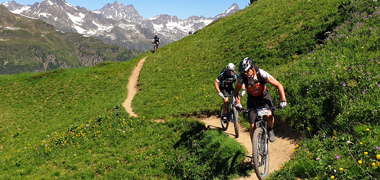 mtb-transalp-tocht-engadin-panorama-afdalen