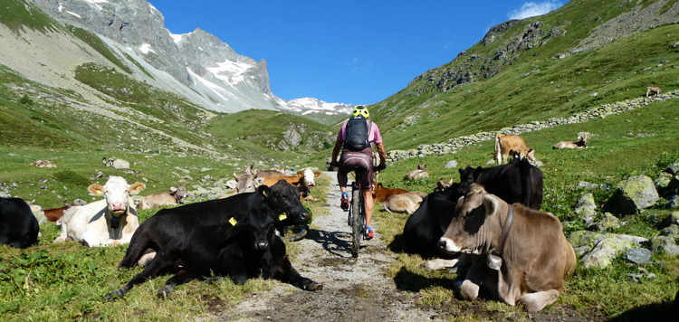 mtb-transalp-tocht-st-moritz-ischgl