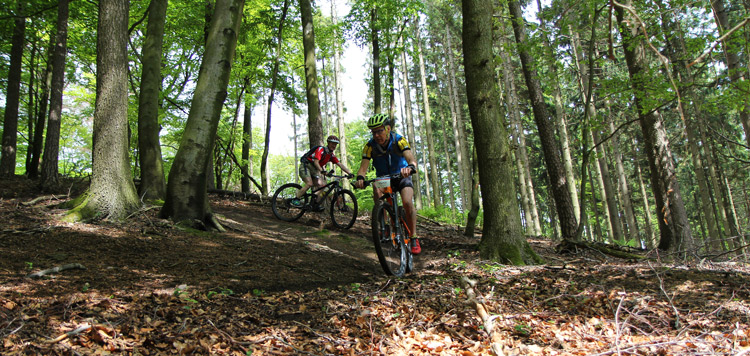 mtb-weekend-duitsland-bielefeld-trails-routes