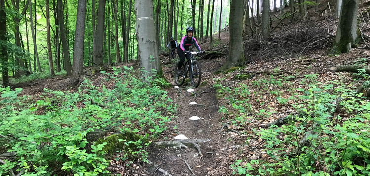 mtb-weekend-duitsland-wuppertal-clinic-trails