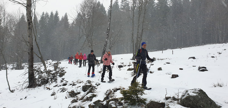 sumavsky-marathon-reis-vakantie-tsjechie