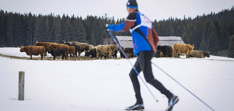 sumavsky-ski-marathon