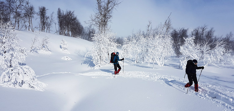 toerlanglaufen backcountry langlaufen vindelfjaellen