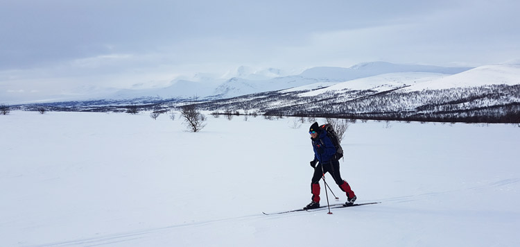 toerlanglaufen backcountry langlaufen vindelfjaellen