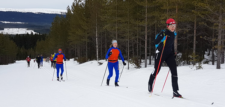 vasaloppet-langlauf-reis-begeleiding-training