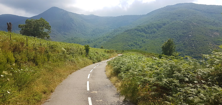 Wielren vakantie corsica