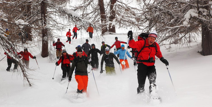 backcountry langlaufen