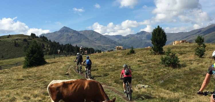 Vasa-Sport-reizen-mountainbike-reis-TransAlp-Lermoos-Meran