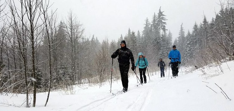 Langlauf-cursus-schwarzwald-reis