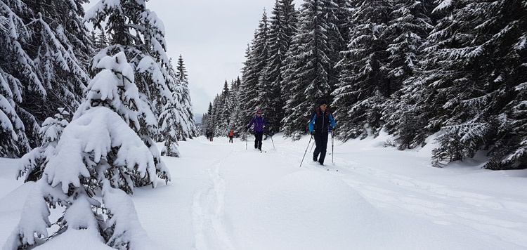 Backcountry-langlauf-toerlanglauf-reis-tocht-sumava-tsjechie