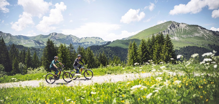 e-mtb reizen 2020