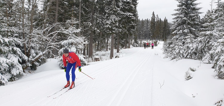 sumavsky-marathon-reis-vakantie-tsjechie