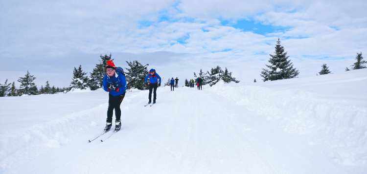 Winterreizen en corona