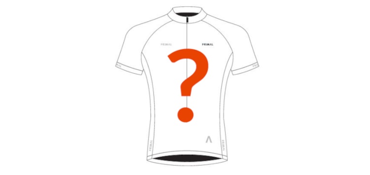 Vasa Finisher shirt 2022