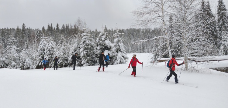 Backcoutntry Trekking Sumava