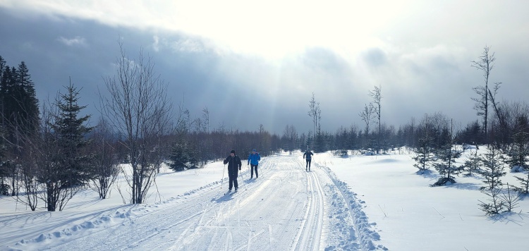 Langlauftrekking Sumava