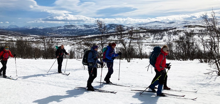 Backcountry Trekkig Dovrefjell