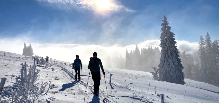 https://www.vasasport.nl/langlauf/backcountrycursus-schwarzwald