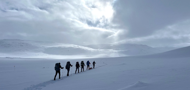 Backcountry Trekking Narvikfjell