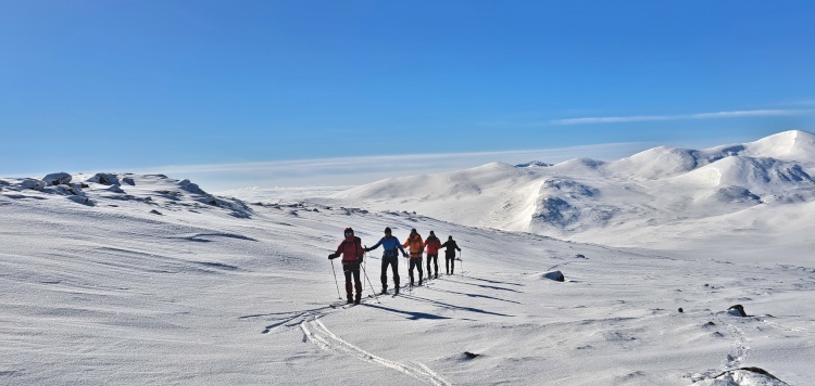 https://www.vasasport.nl/langlauf/backcountry-trekking-zweden