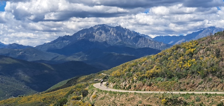 Racefietsreis Corsica