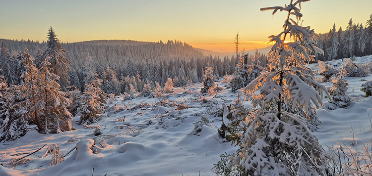 Sneeuwhal Oberhof