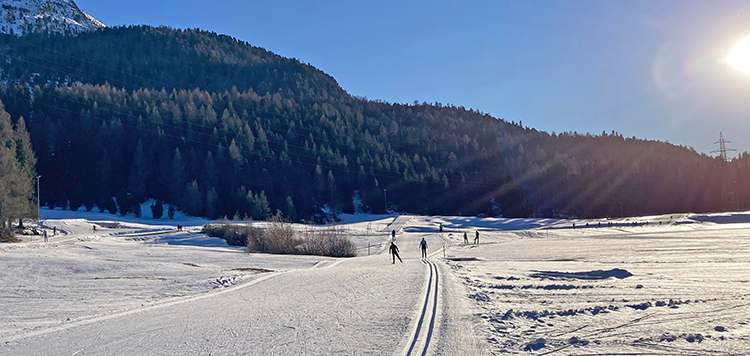 WinterIntro Livigno