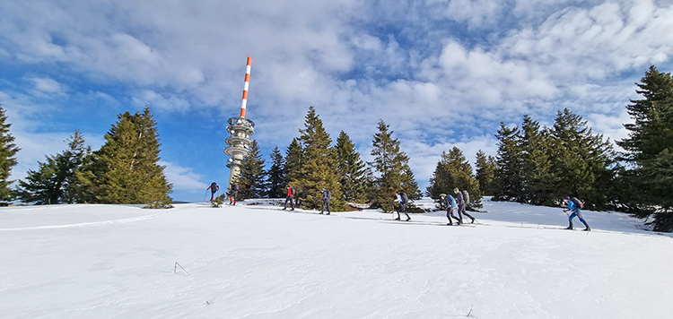 BC Feldberg