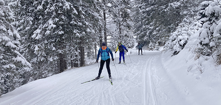 Langlaufweek Toblach